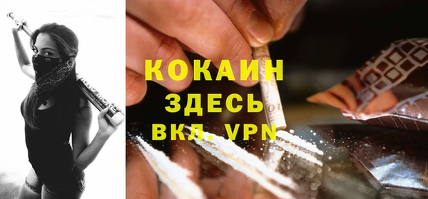 тгк Нея